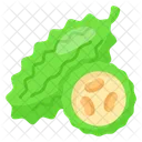 Bitter Gourd Food Vegetable Icon