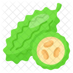 Bitter Gourd  Icon