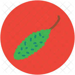 Bitter gourd  Icon