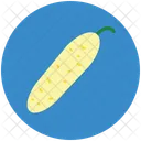 Bitter Gourd Melon Icon