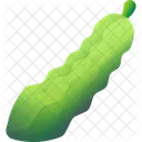 ゴーヤ、野菜、ベジタリアン アイコン