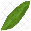 Bitter Gourd Vegetable Food Icon