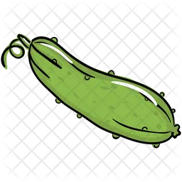 Bitter Gourd  Icon