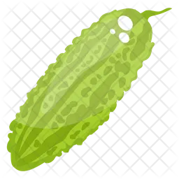 Bitter Gourd  Icon