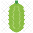 Bitter Gourd Melon Icon
