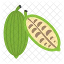 Bitter Gourd Vegetable Natural Icon