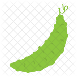 Bitter Gourd Icon