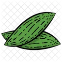 Bitter Gourd Vegetable Bitter Melon Icon