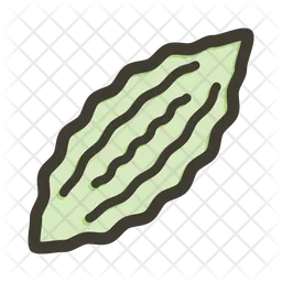 Bitter gourd  Icon
