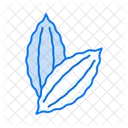 Bitter gourd  Icon