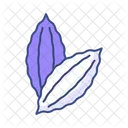 Bitter gourd  Icon