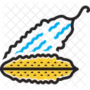 Bitter Gourd  Icon