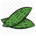 Bitter Gourd  Icon