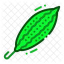 Bitter Gourd  Icon