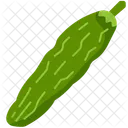 Bitter gourd  Icon