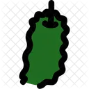 Bitter groud  Icon