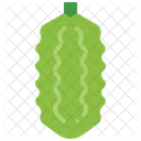 Bitter Kurbis Melone Symbol