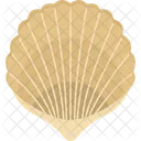 Bivalve Mollusks Clam Sea Shell Icon