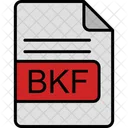 Bkf File Format Icon