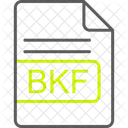 Bkf File Format Icon