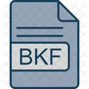 Bkf File Format Icon