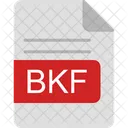 Bkf 파일 형식 아이콘