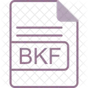 Bkf 파일 형식 아이콘