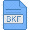 Bkf 파일 형식 아이콘