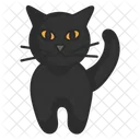 Black Cat Mystery Icon