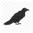 Black Raven Bird Icon