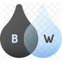 Black And White Person Woman Icon