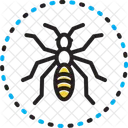 Black Ants  Icon