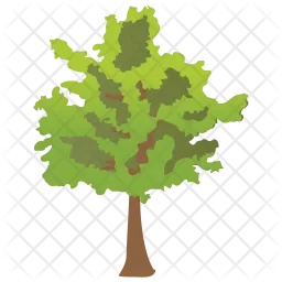 Black Ash Tree  Icon
