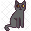 Black Cat Cat Pet Icon
