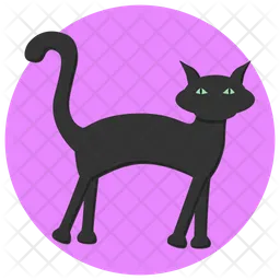 Black Cat  Icon