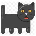 Black Cat Halloween Cat Animal Icon