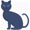 Black Cat Halloween Cat Bad Luck Icon
