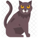 Black Cat Cat Fear Icon