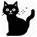 Black Cat  アイコン