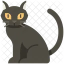 Black Cat Cat Halloween Icon
