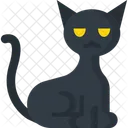 Black Cat Cat Scary Icon