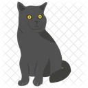 Black cat  Icon