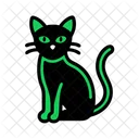 Black cat  Icon