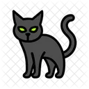 Black cat  Icon