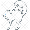 Black Cat Cat Pet Icon
