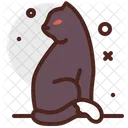 Black Cat  Icon