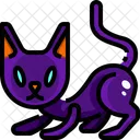Black Cat  Icon