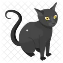 Black Cat  Icon