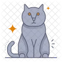 Black Cat  Icon