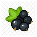 Black Currant Fruits Fruite Icon